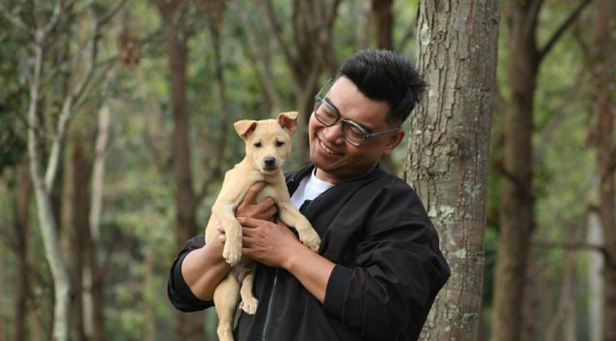 Maxicare PRIMA Animal Bite Care Gives Fur Parents Peace of Mind